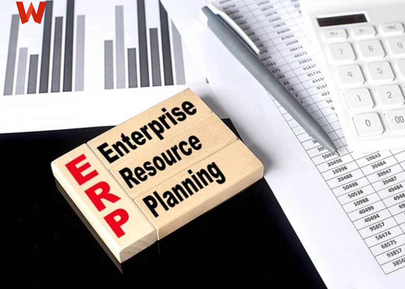 ERP for Small and Medium Enterprises: Custom Solutions for Growing