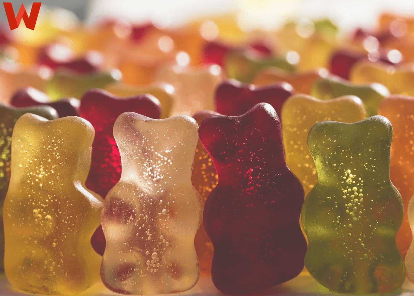 How To Pick The Perfect Delta 8 Gummies This Season?