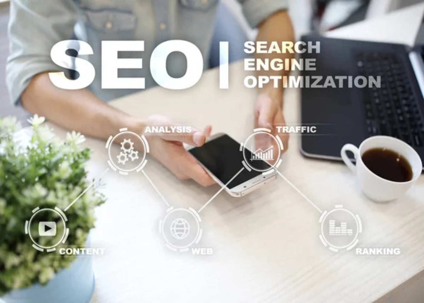 Why SEO Is The Most Cost-Effective Marketing Strategy For Pest Control Companies